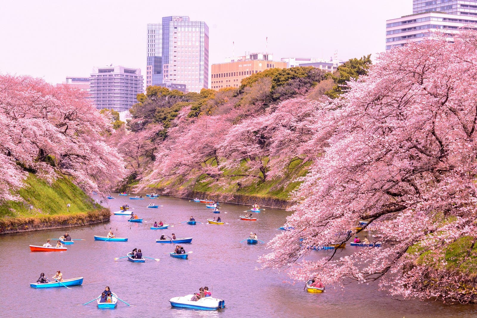 Japan