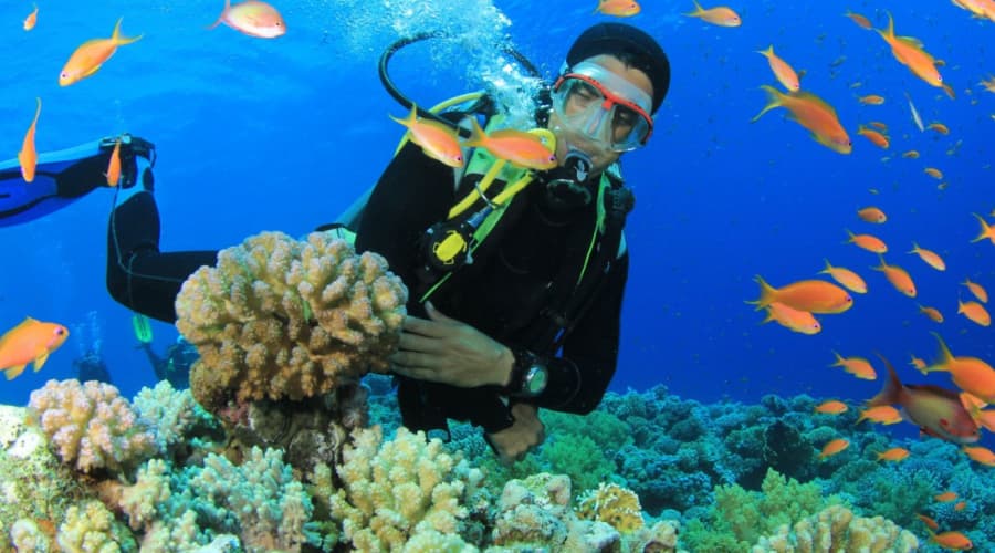 Enchanting Andaman Romantic Honeymoon Tour Holiday Package
